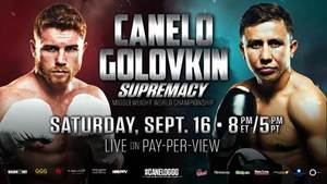 Golovkin: “I am not Julio Cesar Chavez, Jr. and Canelo is no Danny Jacobs”