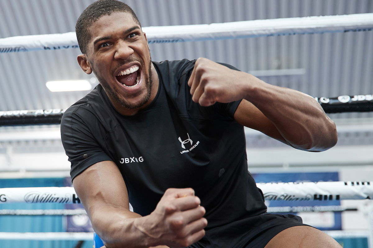 Anthony Joshua: Andy Ruiz Jr has the same genetics as me; championship level for sure