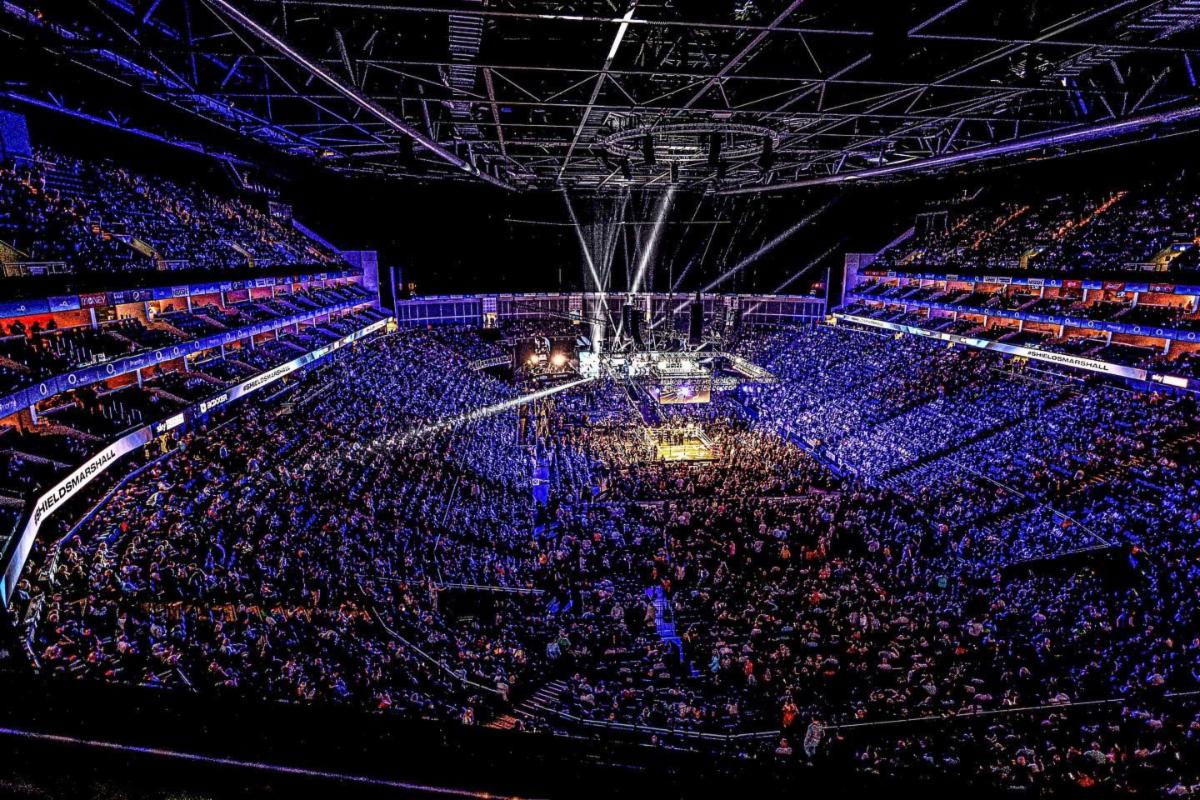 Shields vs Marshall card packs the O2